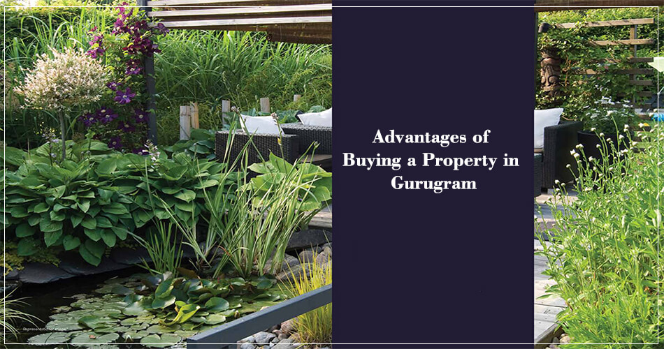 Property in Gurugram -Anant Realties Gurgaon-Advantages of Buying a Property in Gurugram
